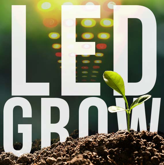 led grow lights