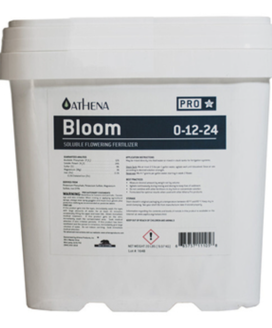 Athena Bloom Bucket – 4.55KG/10LB